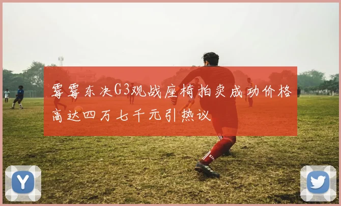 霉霉东决G3观战座椅拍卖成功价格高达四万七千元引热议